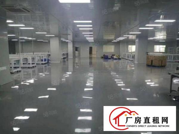  厚街新出一无尘车间厂房3000平，水电齐全，主线到位！