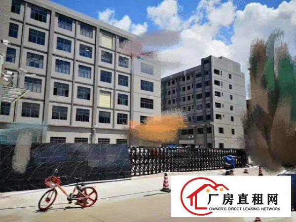  厚街新出一无尘车间厂房3000平，水电齐全，主线到位！