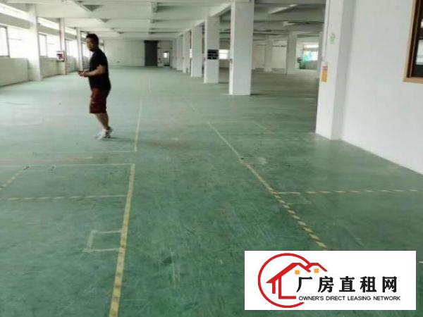  楼上，租金便宜，大小可分租