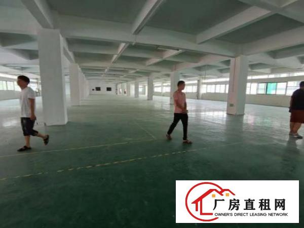  楼上，租金便宜，大小可分租