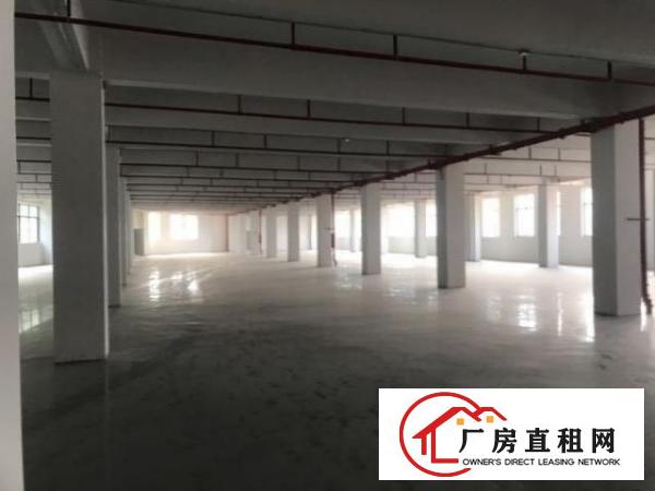  独门独院厂房（中介勿扰）