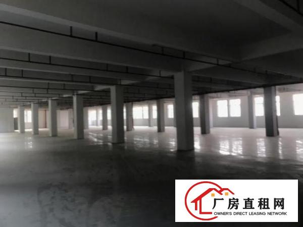  独门独院厂房（中介勿扰）