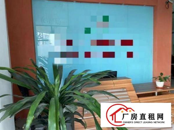  独栋上下两层豪华装修