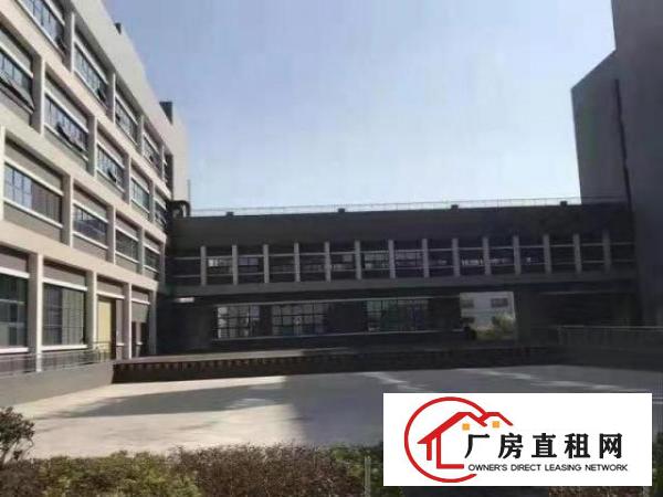  新建园区招租，现成装修，拎包入住，行成行吊