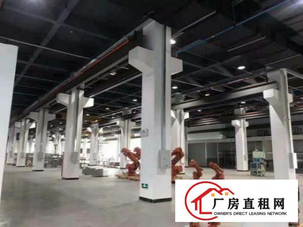  新建园区招租，现成装修，拎包入住，行成行吊