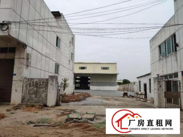  单一层全新独门独院原房东厂房仓储