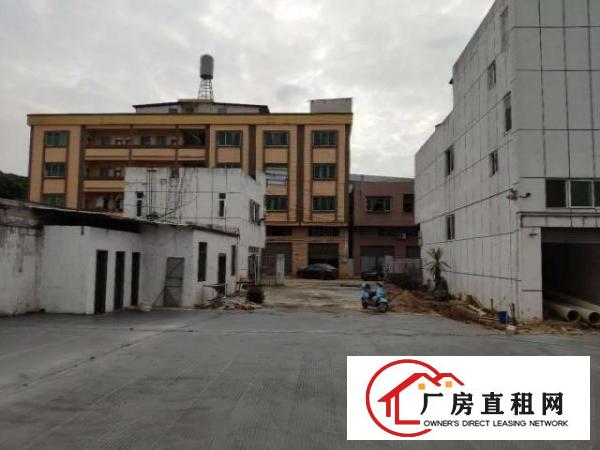  单一层全新独门独院原房东厂房仓储