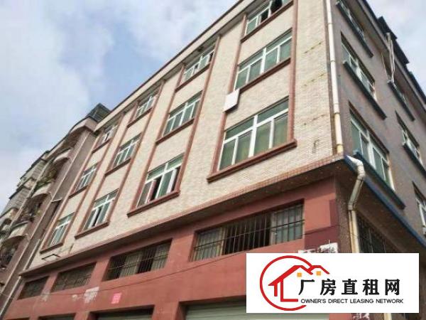  东城周边东城温塘百草岭工业区六巷仓库260平米