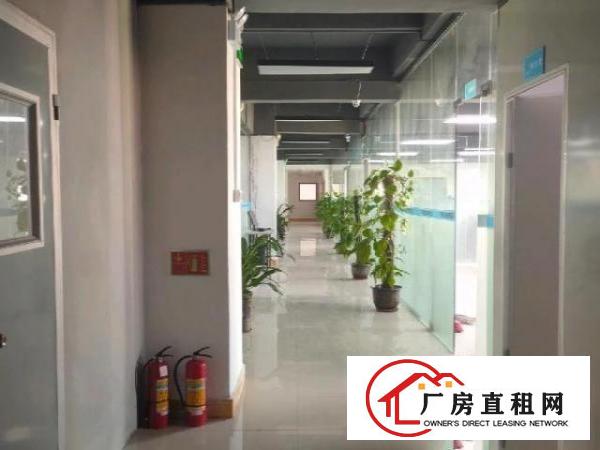  东城村委厂房租客分租2900㎡