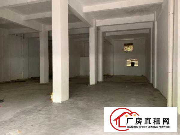  业主低价直招租－东城柏洲边莞龙路边厂房