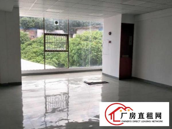  共4600平，可分租，适合电商，培训教育，办公贸易茶楼