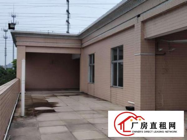  花园厂房出租牛山汇金路