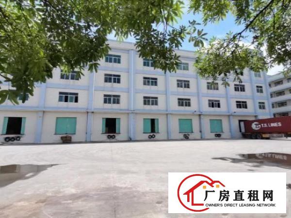  高埗原房东，低单价，整栋无公摊