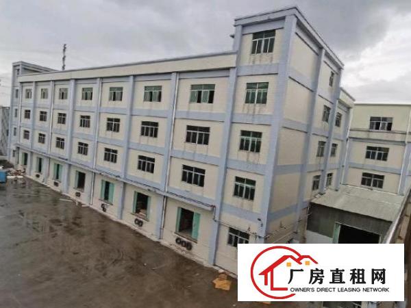  高埗原房东，低单价，整栋无公摊