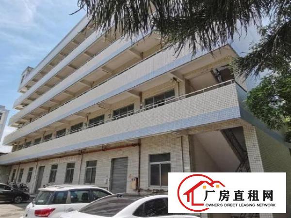 高埗原房东，低单价，整栋无公摊