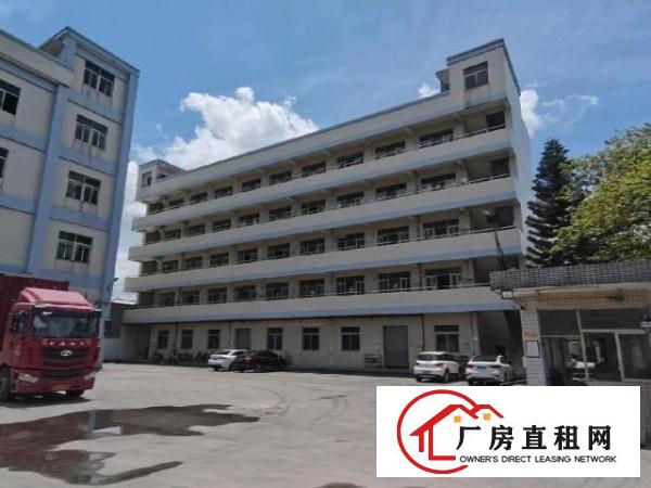  高埗原房东，低单价，整栋无公摊