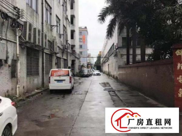  一手厂房，打包整租，有货梯，