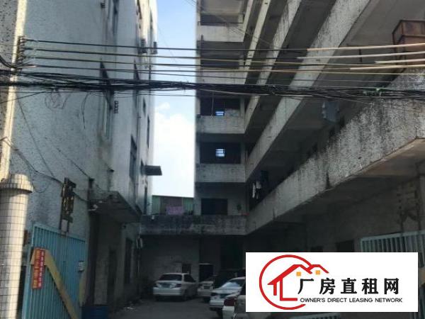  一手厂房，打包整租，有货梯，
