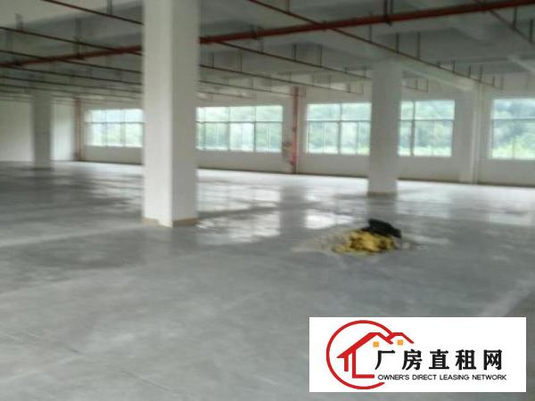  东城桑园银凯西路13号工业区厂房招租