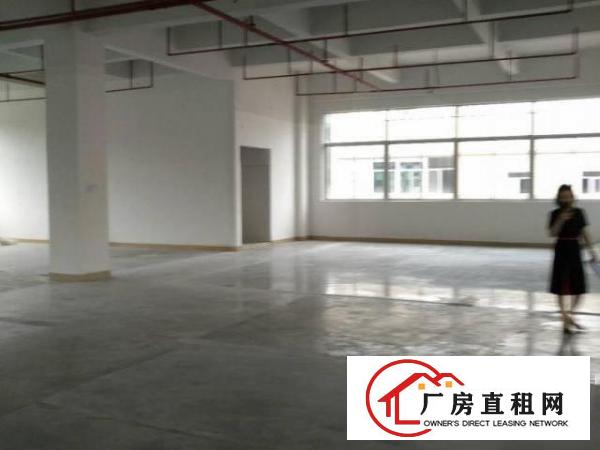  东城桑园银凯西路13号工业区厂房招租