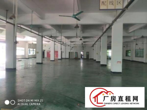  温塘现成办公室带环评厂房招租