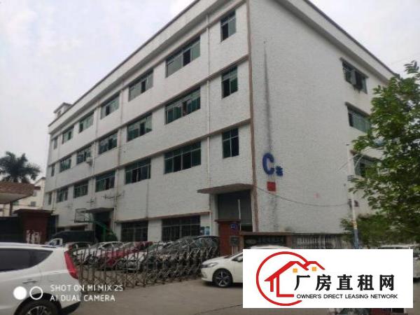  温塘现成办公室带环评厂房招租