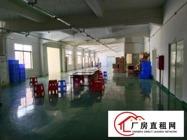  独门独院空地超大厂房