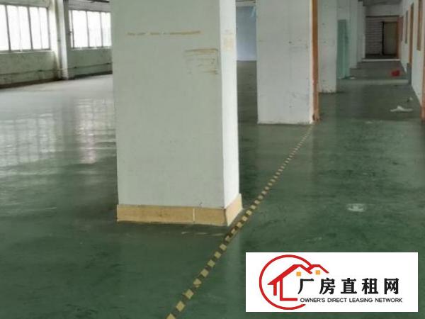  三楼一层1500平，一楼700平。地理位置极优，房租便宜。