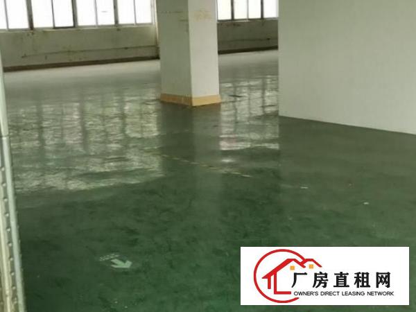  三楼一层1500平，一楼700平。地理位置极优，房租便宜。
