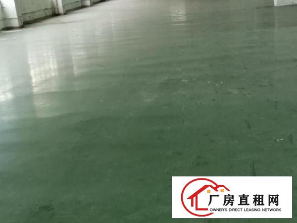  三楼一层1500平，一楼700平。地理位置极优，房租便宜。