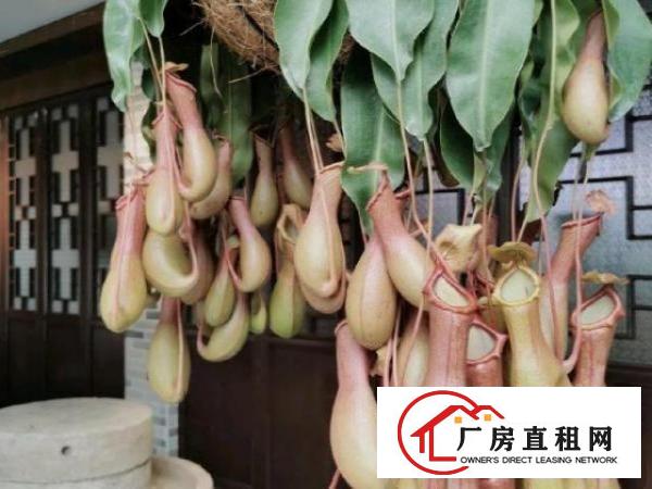  二楼，厂房空余，可做办公室，有空调仓库