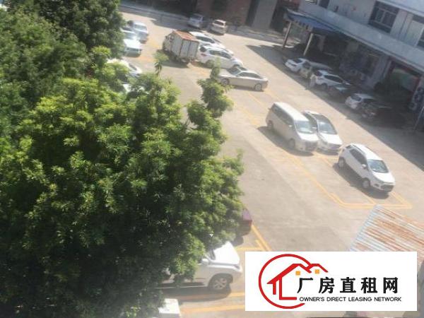  出租东城街道光明路标准厂房，1200方，自用分租，中介勿扰