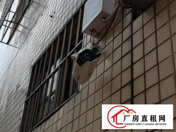  东莞东城温塘百草岭一路二巷