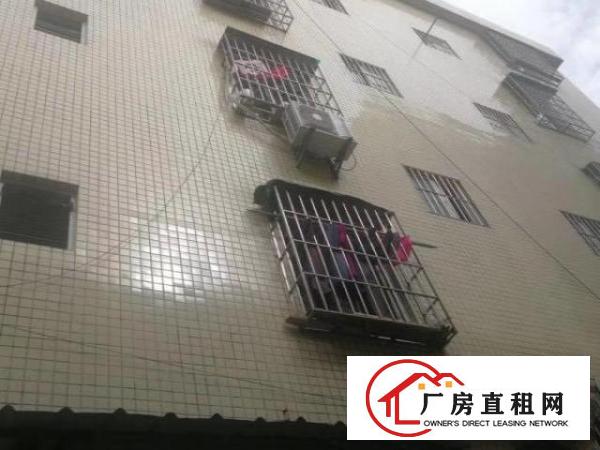  东莞东城温塘百草岭一路二巷