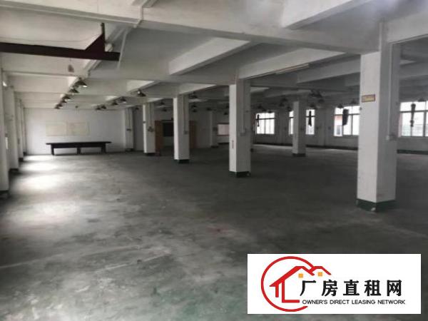  东城区下桥东日夹板市场
