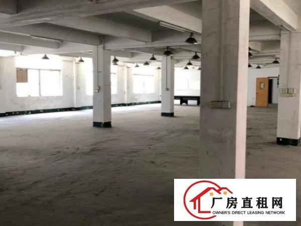  东城区下桥东日夹板市场