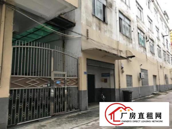  东城区下桥东日夹板市场