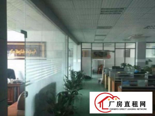  东城周屋工业区《可办环评》厂房3500平方出租