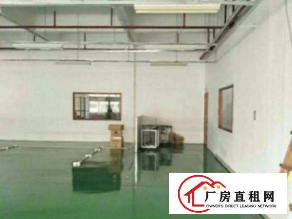  东城周屋工业区《可办环评》厂房3500平方出租