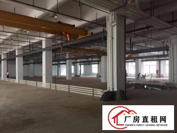  东城黄旗山新出标准厂房3600平出租一楼滴水8米高