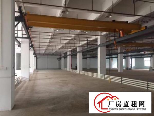  东城黄旗山新出标准厂房3600平出租一楼滴水8米高