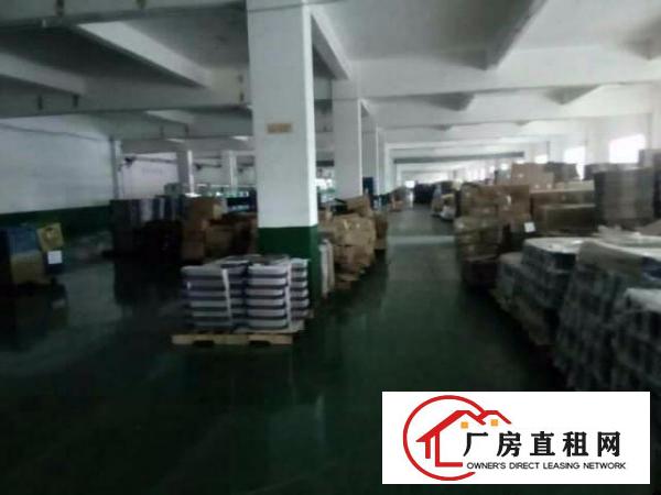  东城柏州边工业区3900平方独院厂房出租