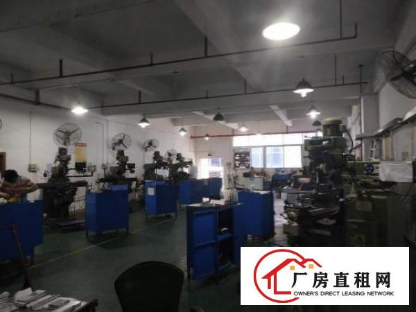  东城柏州边工业区3900平方独院厂房出租