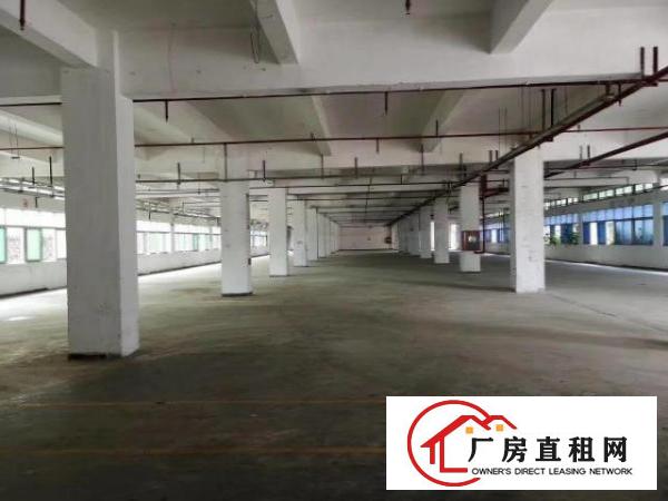  东城牛山工业区1.4万平方高标准厂房出租