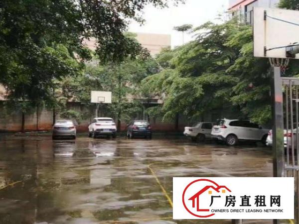  出租东城东城周边出租东城客运东站、温塘小型独立厂房出租一楼面