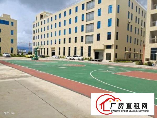  珠海市金湾区红本厂房带排水证（牛仔洗水，漂染行业）