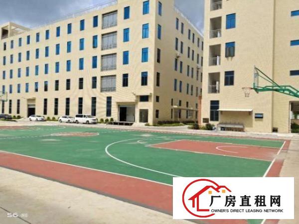  珠海市金湾区红本厂房带排水证（牛仔洗水，漂染行业）