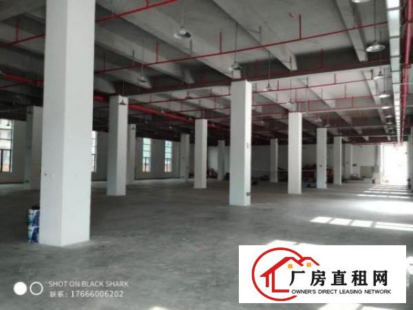  珠海市金湾区红本厂房带排水证（牛仔洗水，漂染行业）