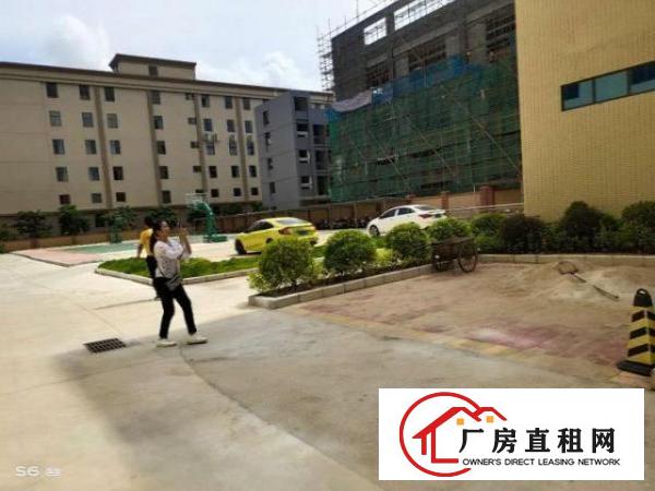  珠海市金湾区红本厂房带排水证（牛仔洗水，漂染行业）