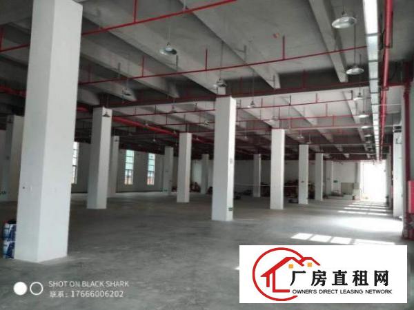  珠海市金湾区红本厂房带排水证（牛仔洗水，漂染行业）